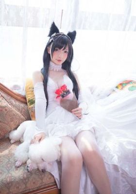 亚洲精品433禁_HD免费在线观看